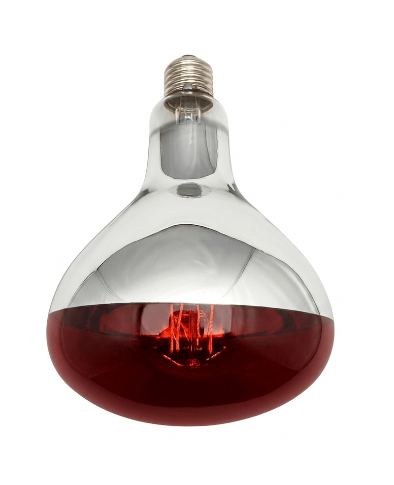 Hard Glass Quartz Bulb - Catering Hardware Direct - Hard Glass Quartz Bulb - IR250CHR
